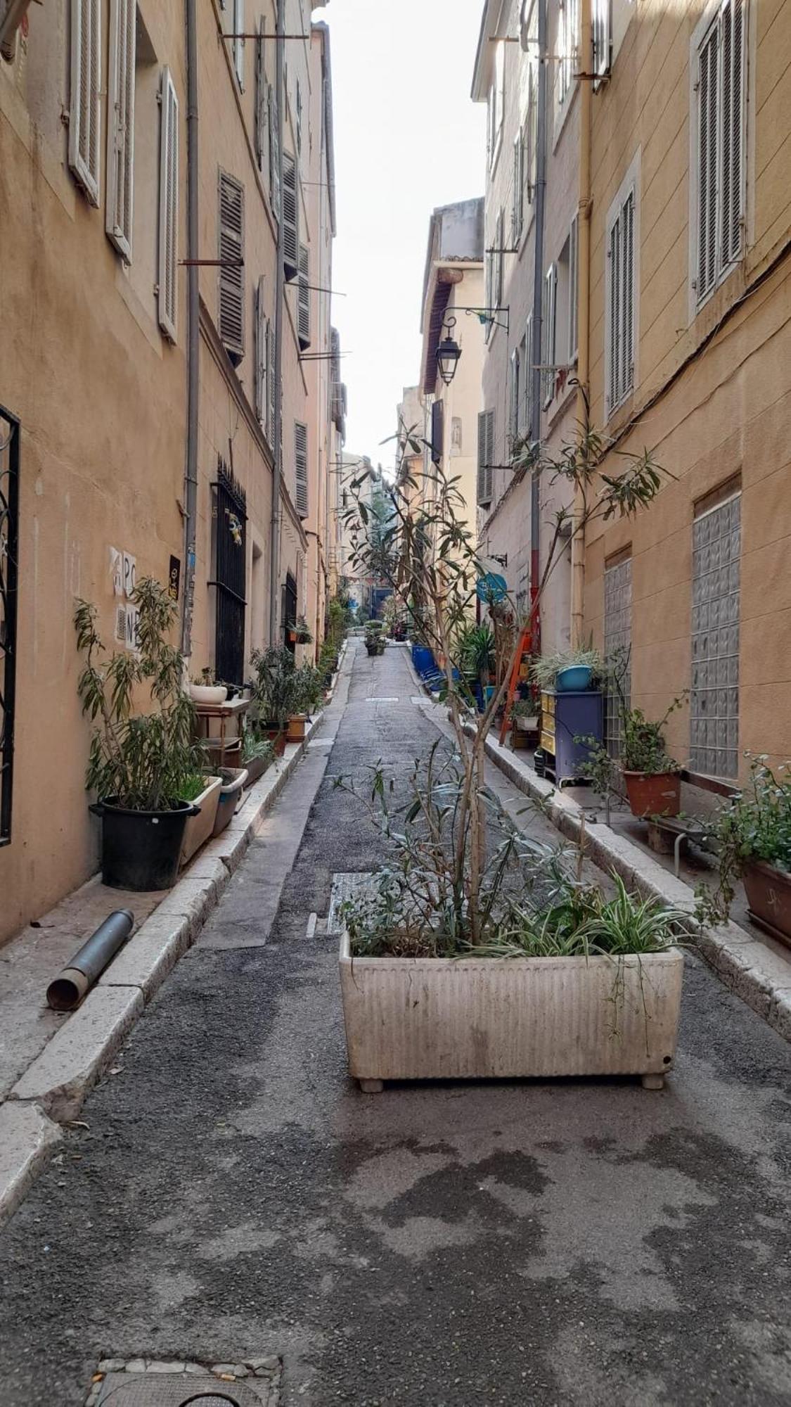 Le Cosy Apartment Marseille Bagian luar foto